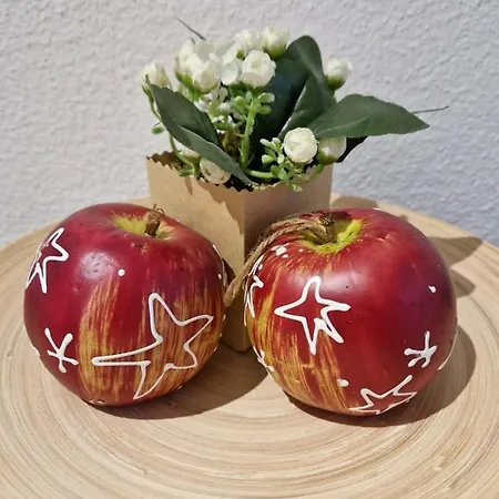 Appartement Superbe Loft Center Of Bike Parking Saverne